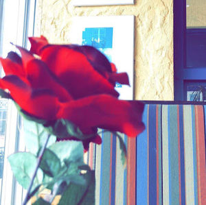 Meet your Posher, Khushmit